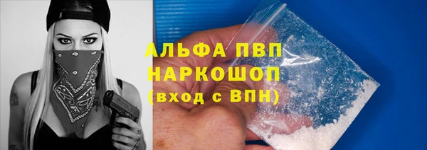 гашик Богданович
