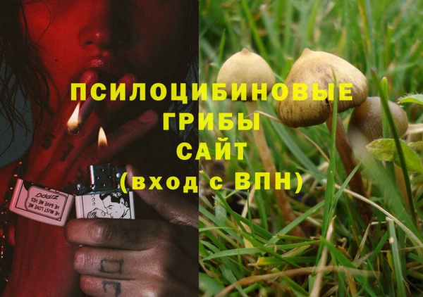 гашик Богданович