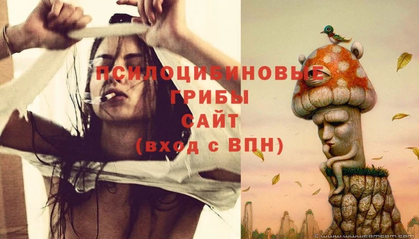 каннабис Беломорск