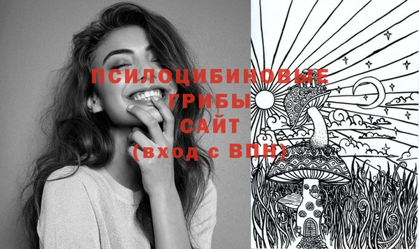 мяу мяу мука Богородицк