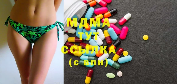 гашик Богданович