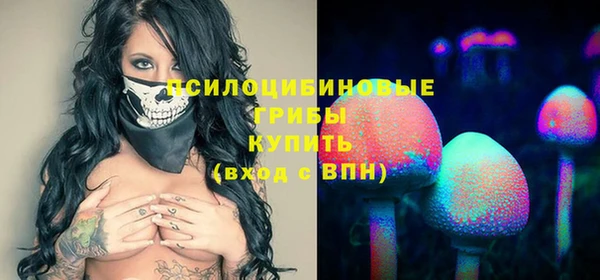 гашик Богданович