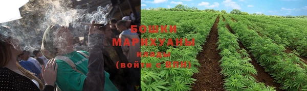 гашик Богданович