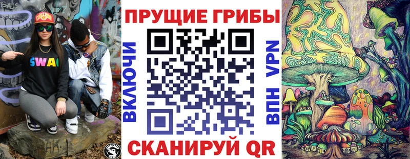 darknet телеграм Горняк Псилоцибиновые грибы Cubensis